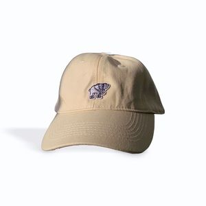 Cotton Chino Ball Cap